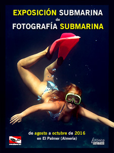 2016-Exposición-Submarina-de-Fotografía-Submarina-_-cartel_800